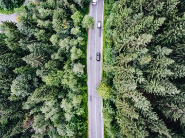 Yukarıdan aşağıya bir orman yolu üzerinde geçen otomobillerin havadan görünümü
