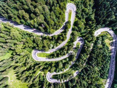 Dolambaçlı bir orman yolu havadan görünümü