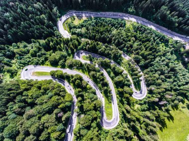 Araçlarda dolambaçlı yol yalak orman havadan görünümü