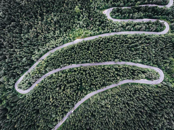 Klikaté silnici v lese z ptačí perspektivy — Stock fotografie