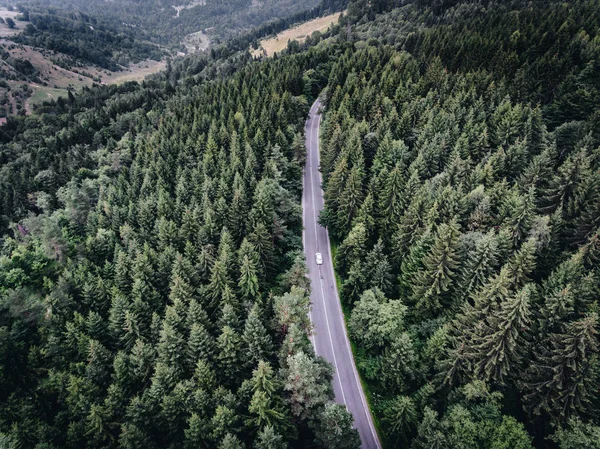 Carro dirigindo na estrada na floresta — Fotografia de Stock