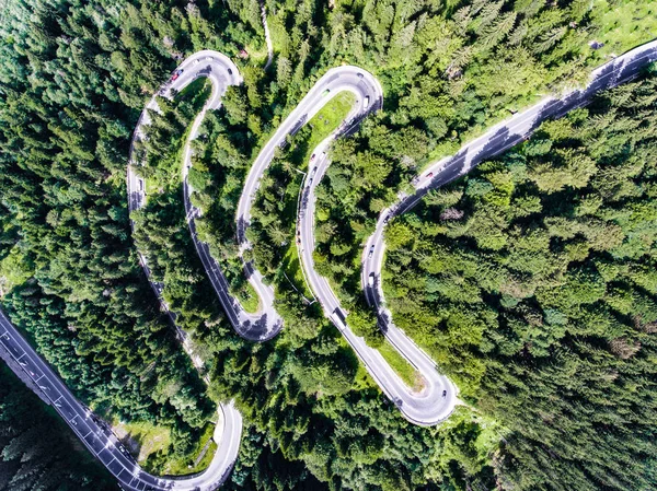 kıvrımlı yol orman