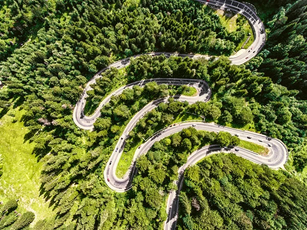 Cars on winding road trough the forest aerial view