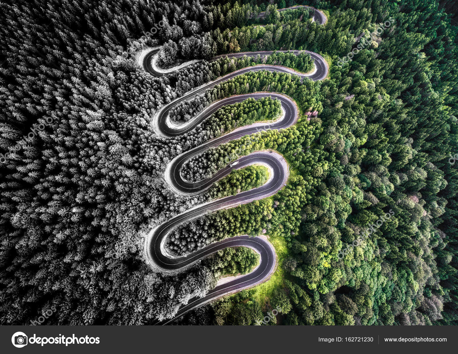 Vista aérea de un camino sinuoso en el bosque. Interpreta artística