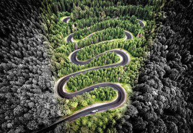 Ormanın içinde bir yol hava görünümünü. Sanatsal interpreta