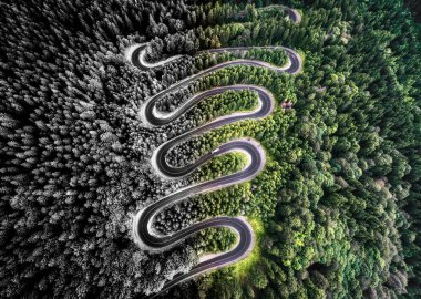 Ormanın içinde bir yol hava görünümünü. Sanatsal interpreta