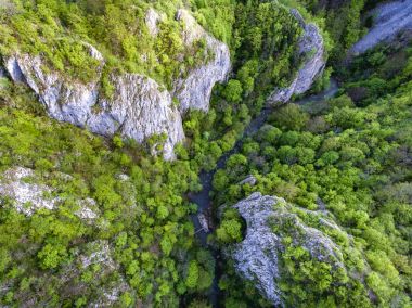 Varghis Gorges Covasna ve Harghita County, Transilvanya, Rom