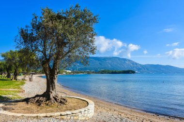 Yunan beach, Akdeniz Corfu Korfu Adası üzerinde 