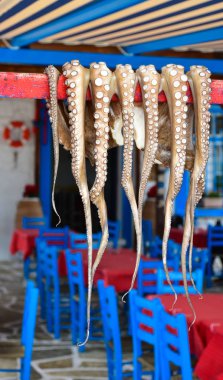 Geleneksel Yunan yemekleri de köyün güneşte ahtapot kurutma 