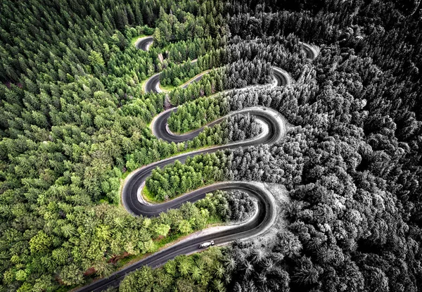 Vista aérea de una carretera curva en el bosque. Interpretación artística —  Fotos de Stock