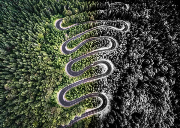 Vista aérea de una carretera curva en el bosque. Interpretación artística —  Fotos de Stock