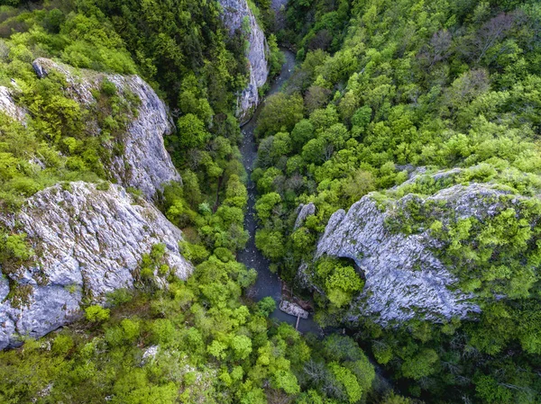 Varghis ущелини Covasna і Харгіта повіту Трансільванії, Rom — стокове фото