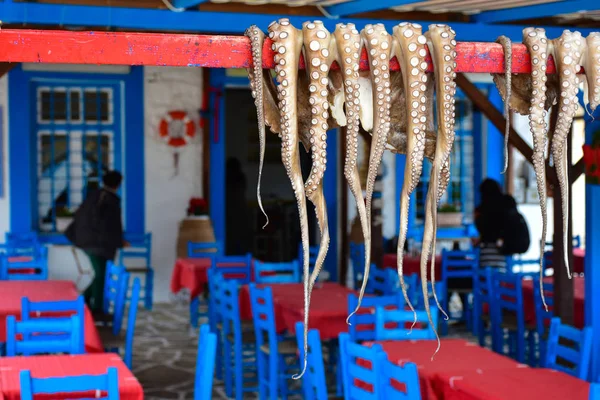 Traditional greek food Octopus drying in the sun in the village — Stock Photo, Image