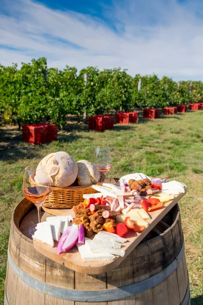 Traditionele Roemeense gerechten plaat met wijn en wijngaarden in de b — Stockfoto