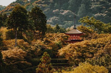 Kyoto Budist tapınağı ve pagoda Japonya'da