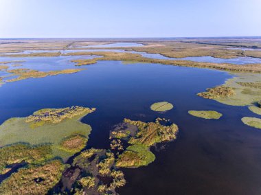 Tuna Deltası yukarıda panoramik resim (Delta Dunarii) roman