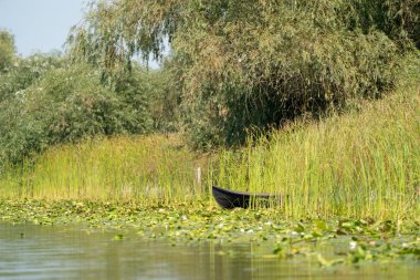 Geleneksel Sal Lotca fishermans balıkçı teknesi denir.