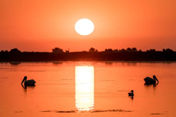 Sonnenaufgang im Donaudelta Rumänien — Stockfoto