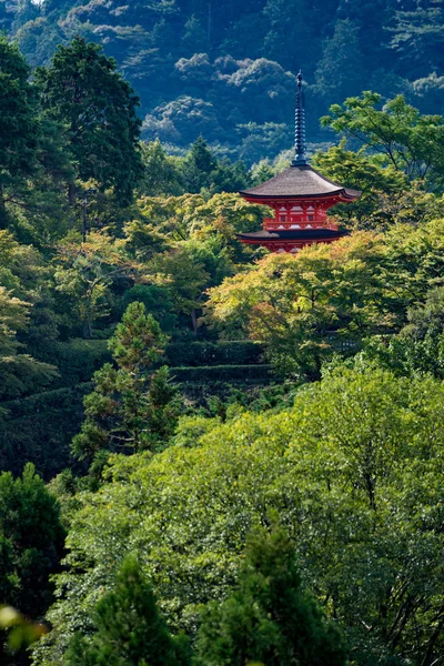 Kyoto pagoda in Kyoto city, Japan