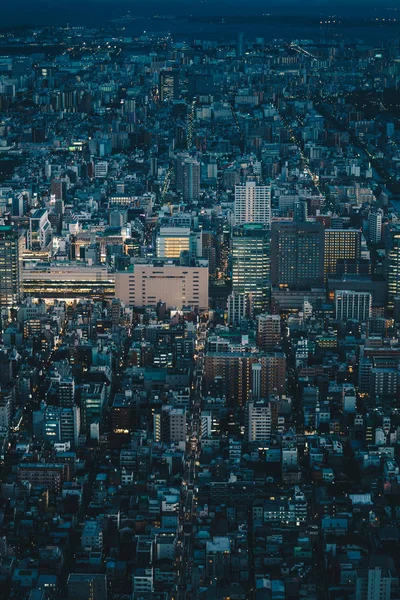 Skyline di Tokyo visto dall'alto fotografia aerea di Tokyo cit — Foto Stock