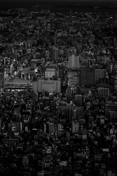 Tokyo skyline versión de noche en blanco y negro —  Fotos de Stock