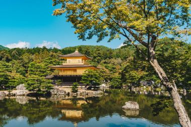 Kyoto, Japonya 'daki Kinkakuji Tapınağı (Altın Pavyon)