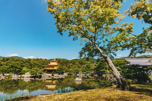 Kyoto, Japonya 'daki Kinkakuji Tapınağı (Altın Pavyon)