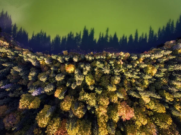 Vue aérienne du sommet vers le bas d'une forêt et d'un lac en automne à Transyl — Photo