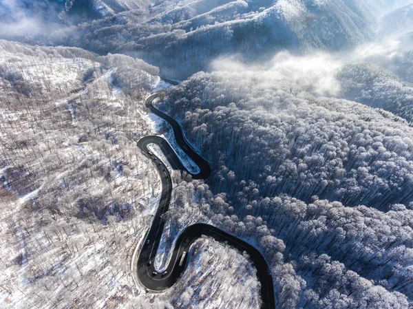 Hava dron görünümünü bir eğri yol ormanın içinden Merhaba sarma