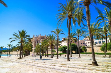 Palma de Mallorca, İspanya. Central park palmiye ağaçlarında su ile