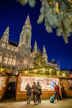 Belediye Binası (Rathaus), Avusturya, W fornt Noel pazarı