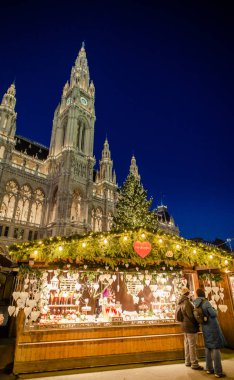 Belediye Binası (Rathaus), Avusturya, W fornt Noel pazarı