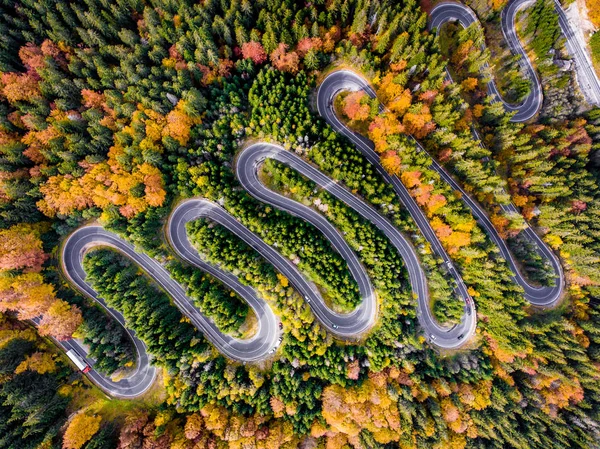 Viaje por carretera en el bosque en otoño —  Fotos de Stock