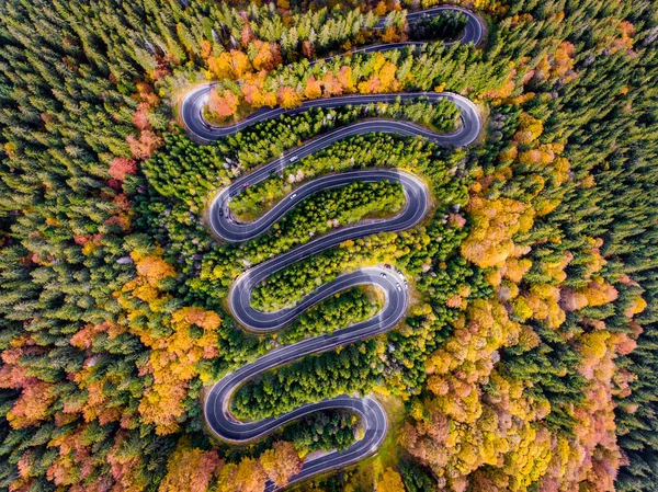 Carretera sinuosa rodeada de árboles de colores en el bosque —  Fotos de Stock