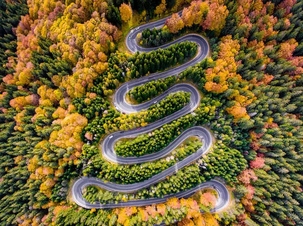 森林中的秋蜿蜒之路 — 图库照片