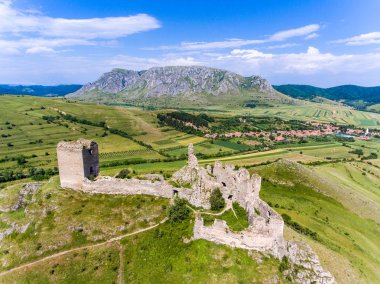 Coltesti medieval fortress near Coltesti village, in Apuseni Tra