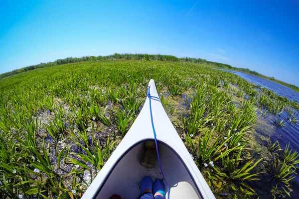 Delta Dunarii in a Canoe — Stock Photo, Image