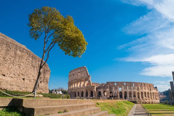 Koloseum, jak je patrné z Palatinu v Římě, Itálie — Stock fotografie