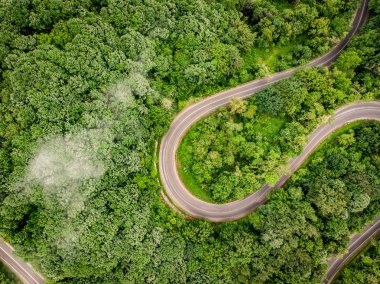 Bir dron orman havadan görünümden dolambaçlı yol