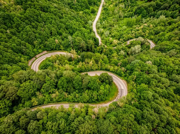 Extreme Kronkelende Weg Het Bos — Stockfoto