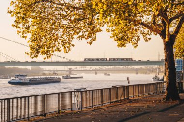 Koln, Almanya, sabah ışığı gezinti güvertesinde