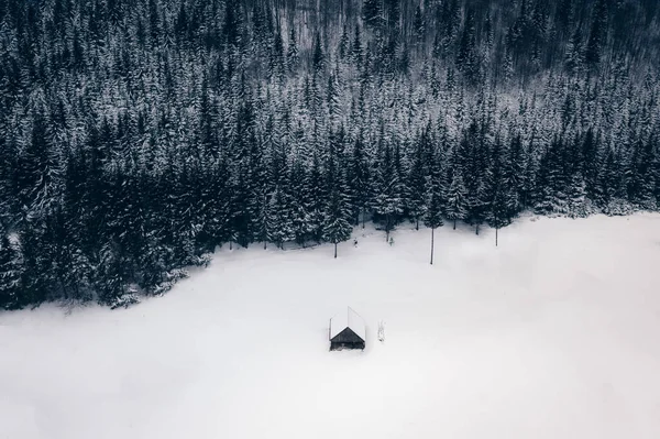 Opuštěný Ovčinec Poblíž Lesa Silném Sněžení — Stock fotografie