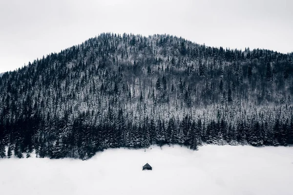 Montaña Bosque Nevado Redil Granero Abandonados —  Fotos de Stock