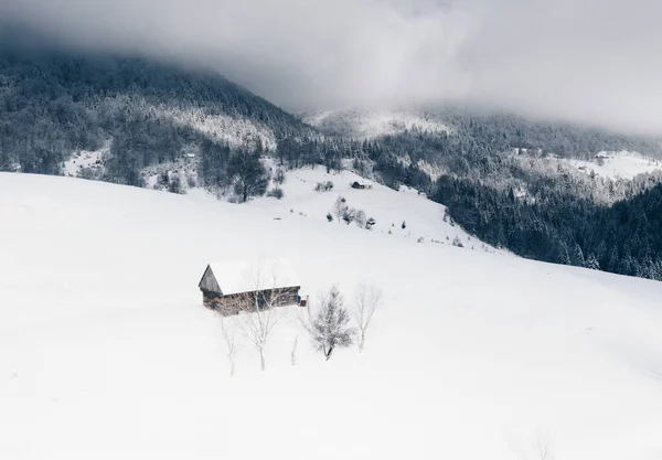 Zimní Krajina Rumunsko Ovce Stodola Obci Sirnea Úpatí Karpat — Stock fotografie