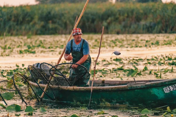 Romania Danube Delta August 2019 Рибалка Кидає Маленьку Рибу Назад — стокове фото