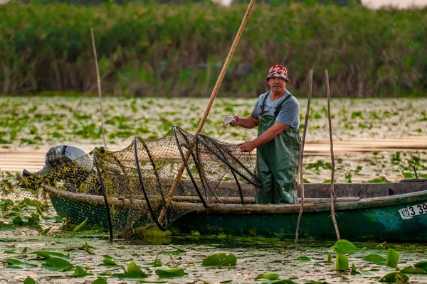 Romania Danube Delta August 2019 Рибалка Ловить Рибу Сітки Дельті — стокове фото