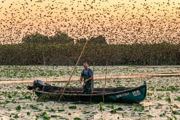 Romania Danube Delta August 2019 Ранок Дельті Дунаю Рибалками Перевірка — стокове фото