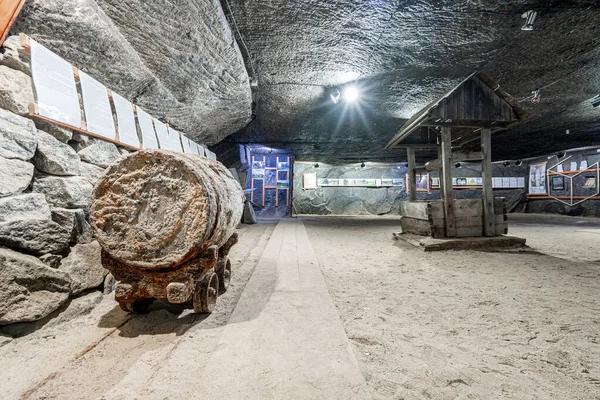 Intérieur Mine Sel Cacica Bucovina Roumanie — Photo