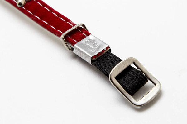 Collar for cat or dog on white background