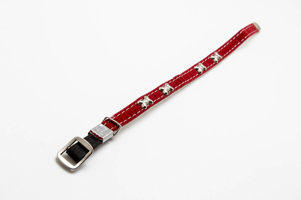 Collar for cat or dog on white background
